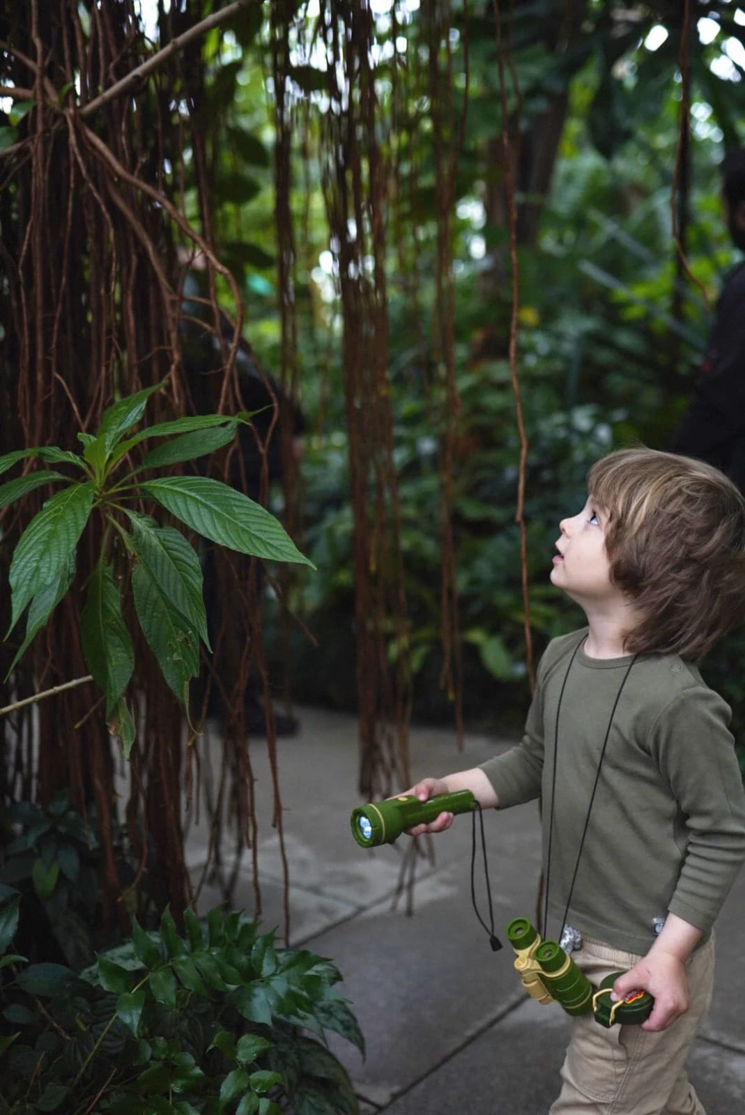 Siblings as little explorers in the tropical greenery of the palm house during a family photoshoot in the Munich Botanical Garden