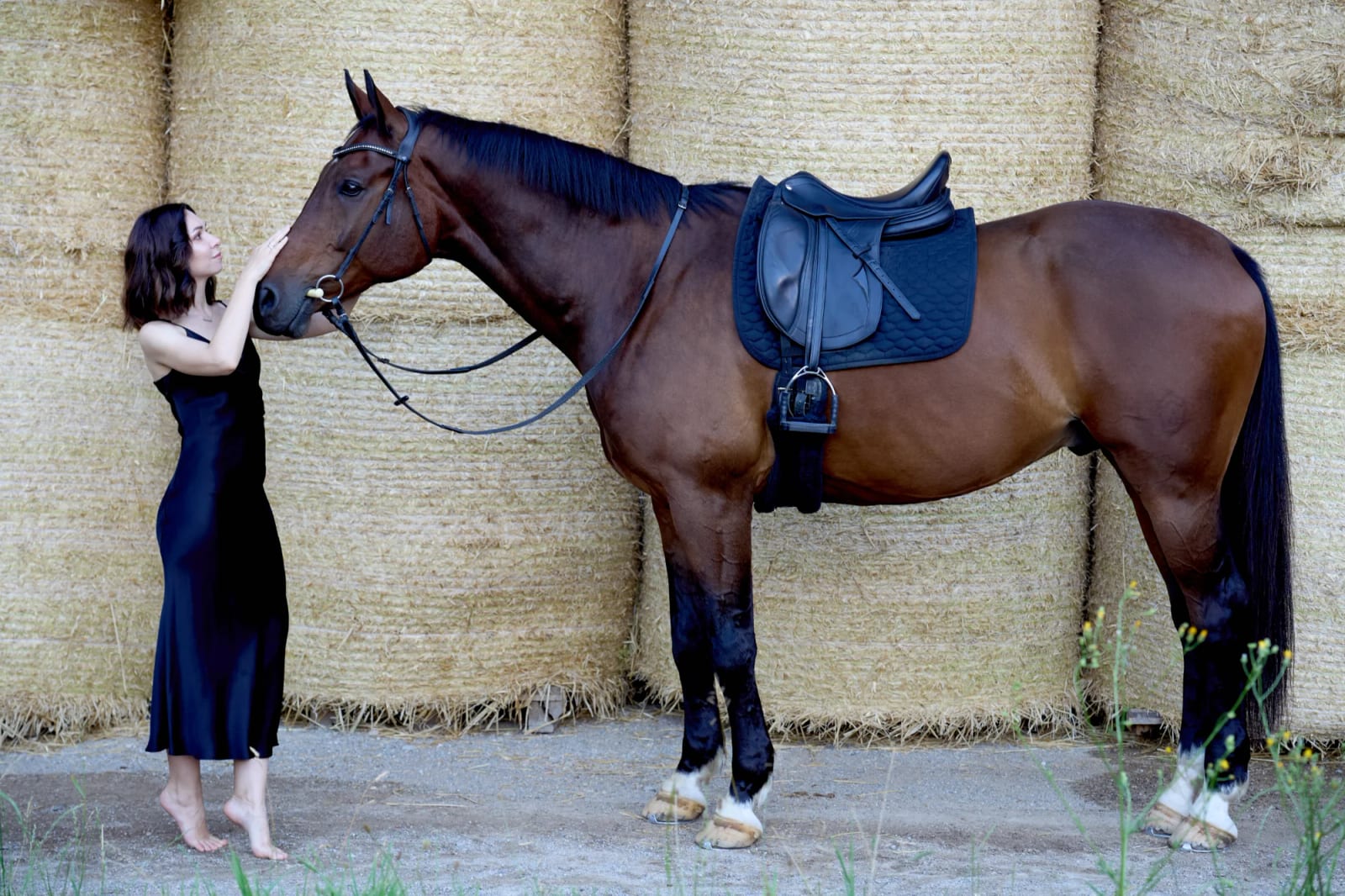 Horse photoshoot in warm evening light – woman in a black dress gently touching her bay horse's muzzle near Starnberg