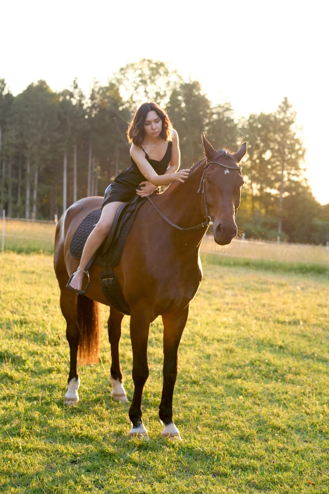 Rider on her horse in golden evening light in a meadow in the Five Lakes region near Starnberg