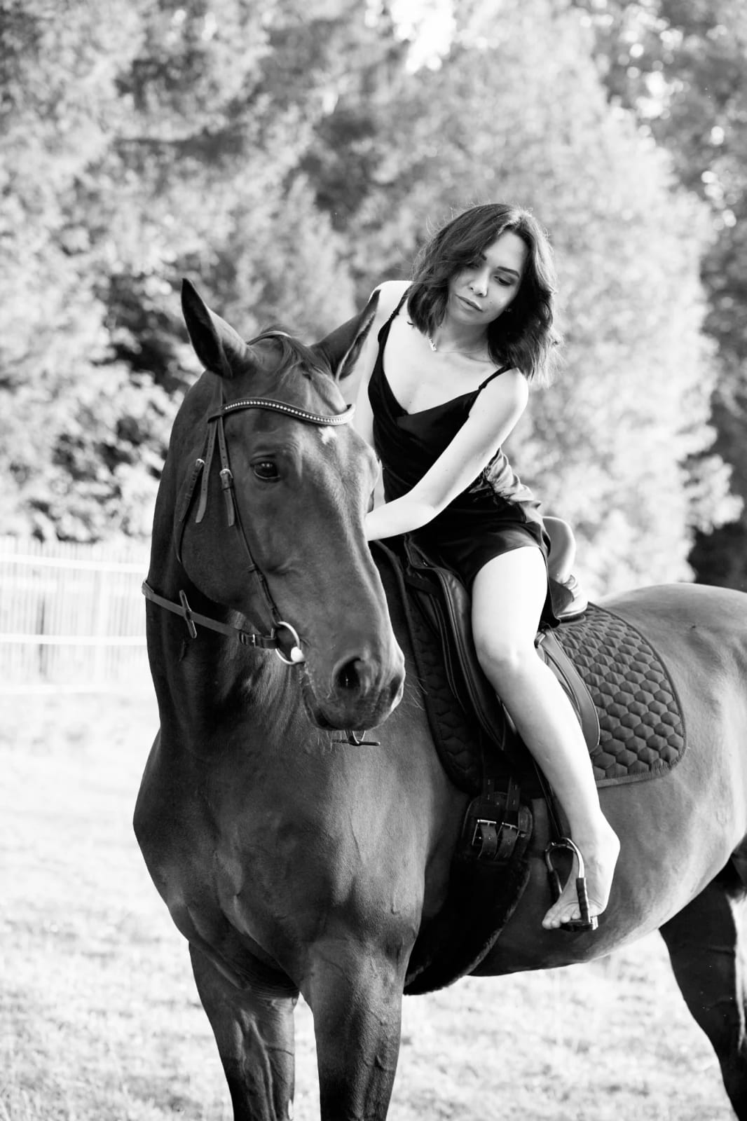 Black-and-white horse photoshoot – rider leaning over her horse at a forest edge near Gauting in the Würmtal valley
