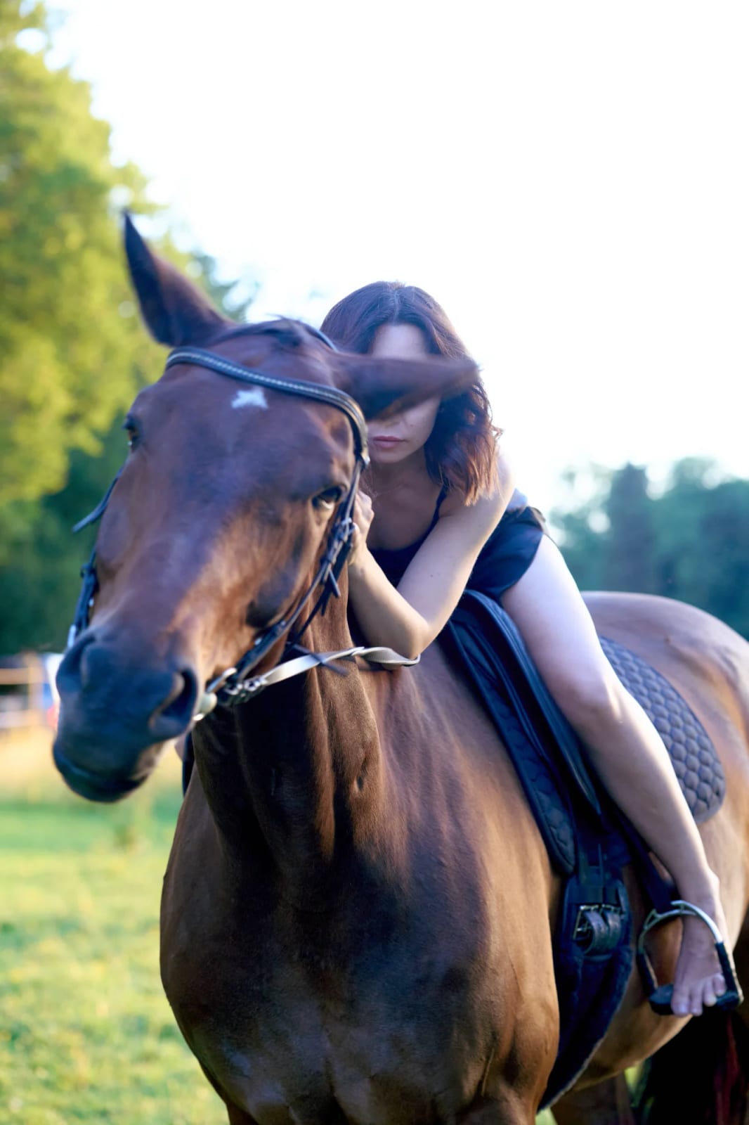 Horse and rider in golden backlight – an intimate moment during a horse photoshoot at golden hour