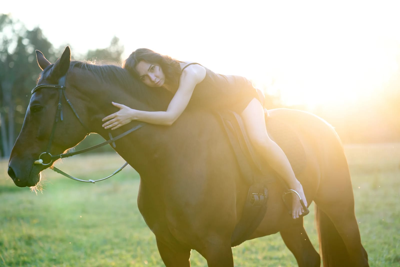 Rider nestling against her horse's neck in warm evening light – an unposed horse photoshoot around Munich